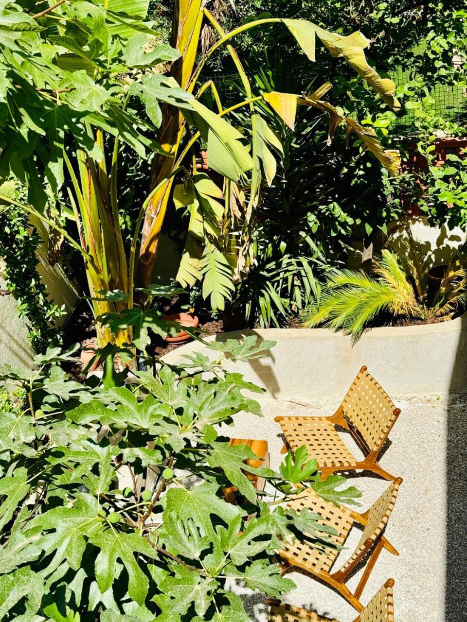 Maison Lyo Luxe Cannes